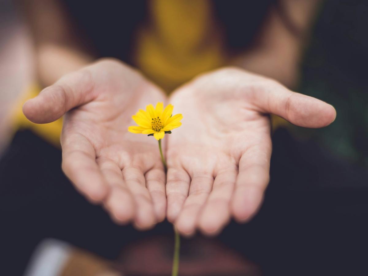 A woman holding a yellow-petalled flower